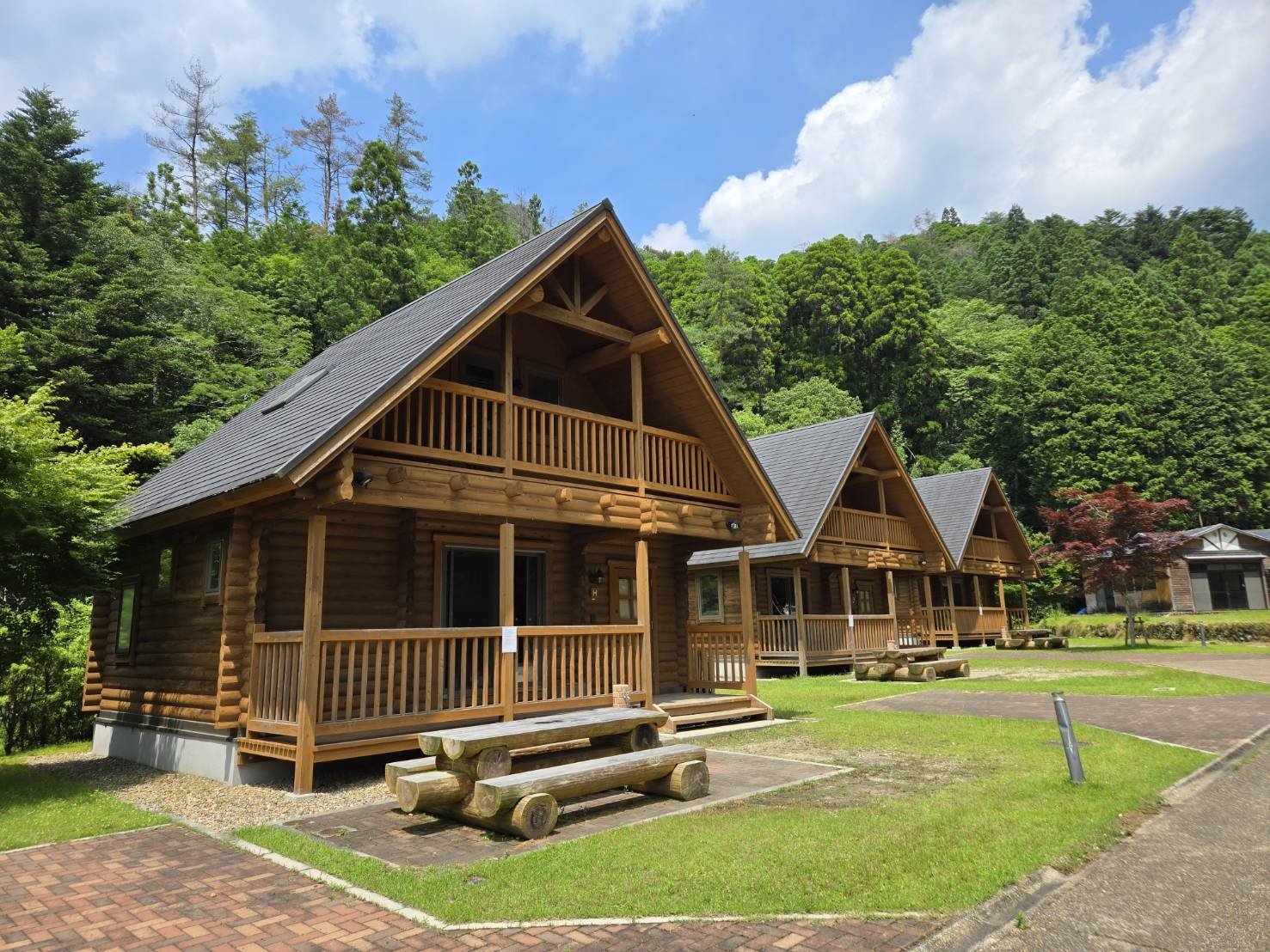 ���O�R�e�[�W�O��