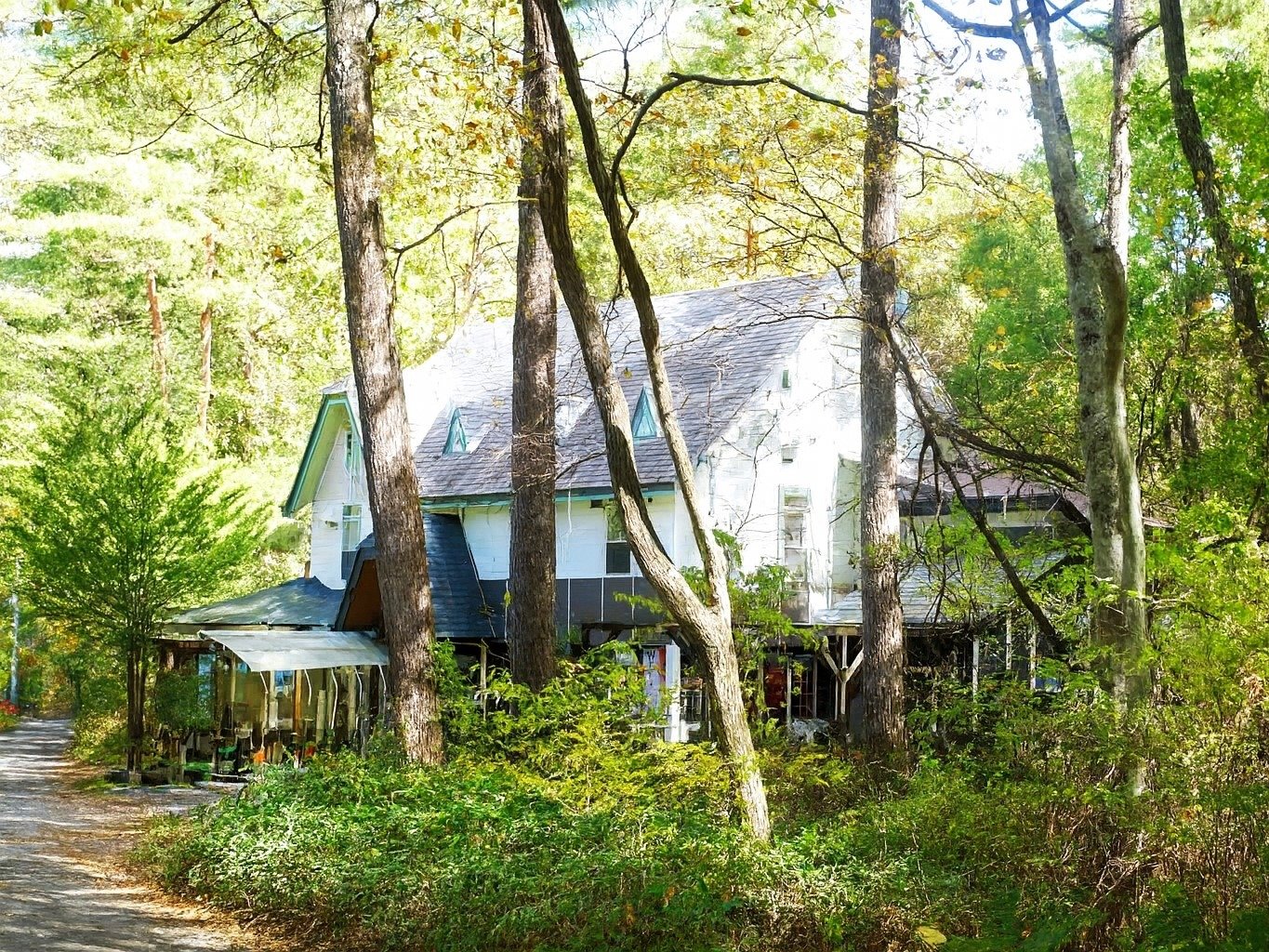 �X�̂Ȃ��̃f�U�C�i�[�Y�y���V�����i�X�����j