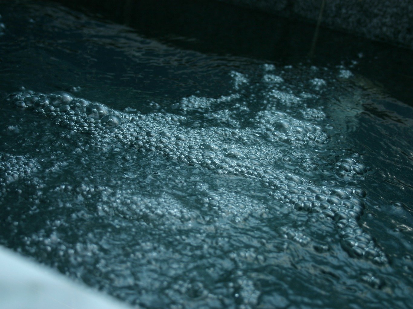 �������ʔ��Q�I�u����v