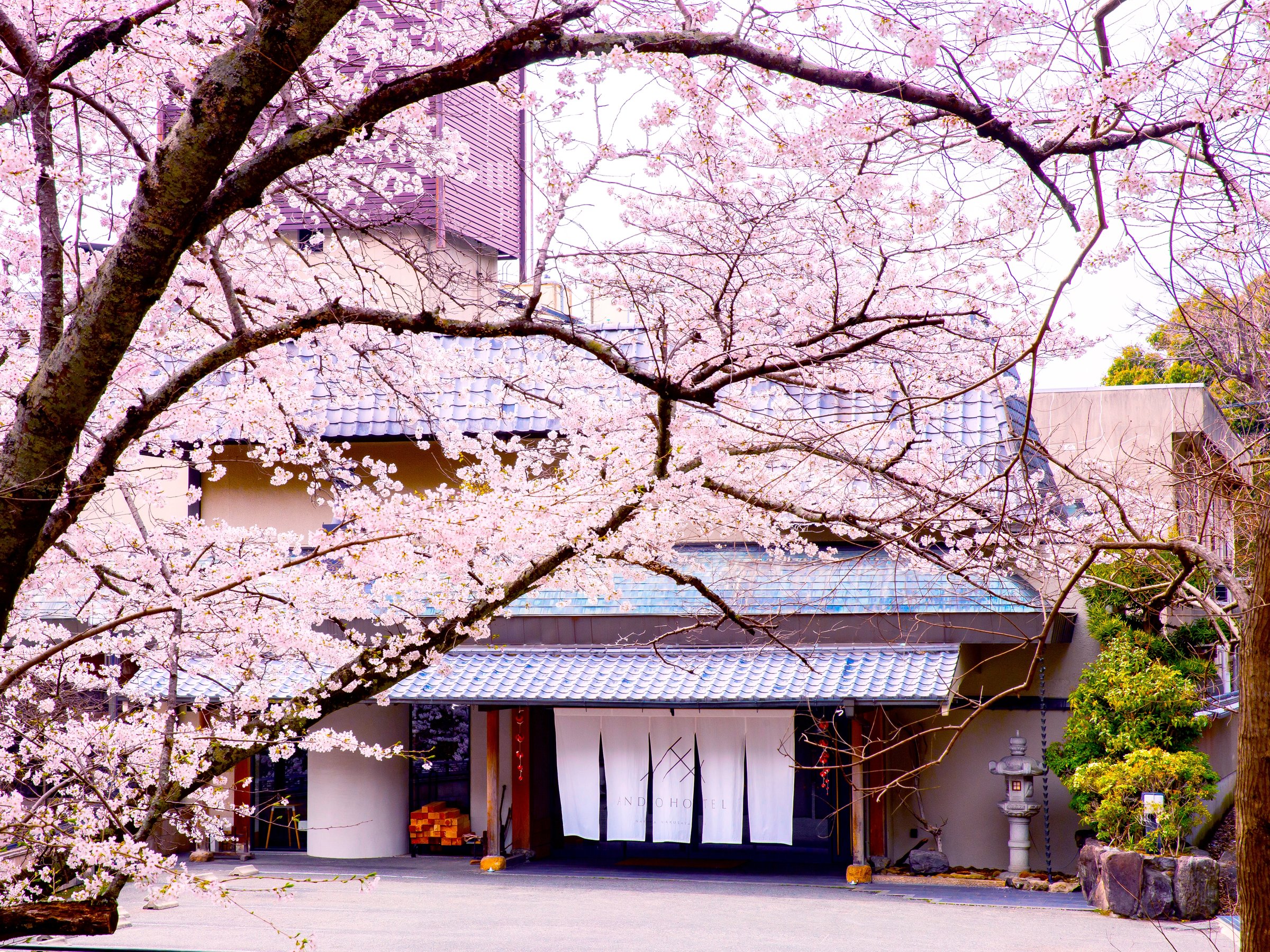 ����ANDO HOTEL