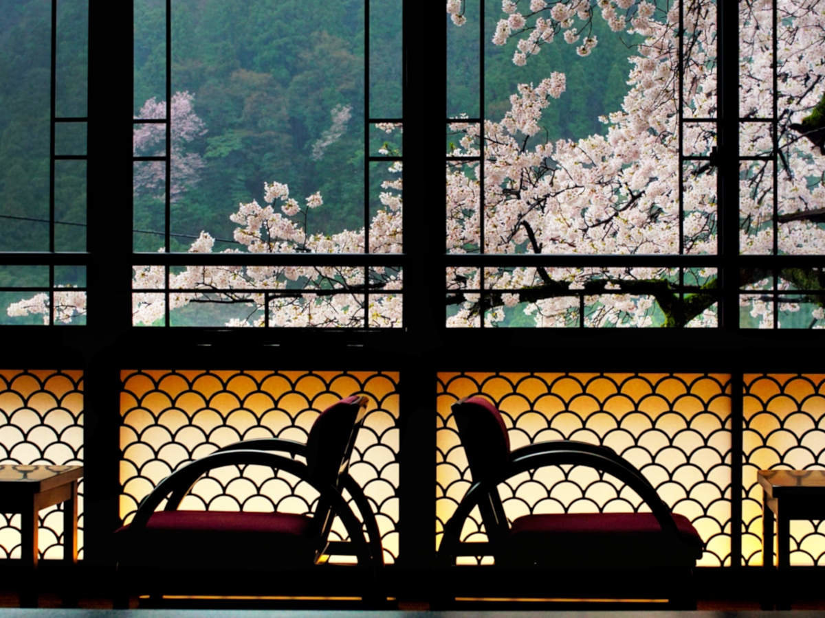 �E�u�a���_���q��10��`�v�̂���������̍��̒��]�i�������4����{�ł��j