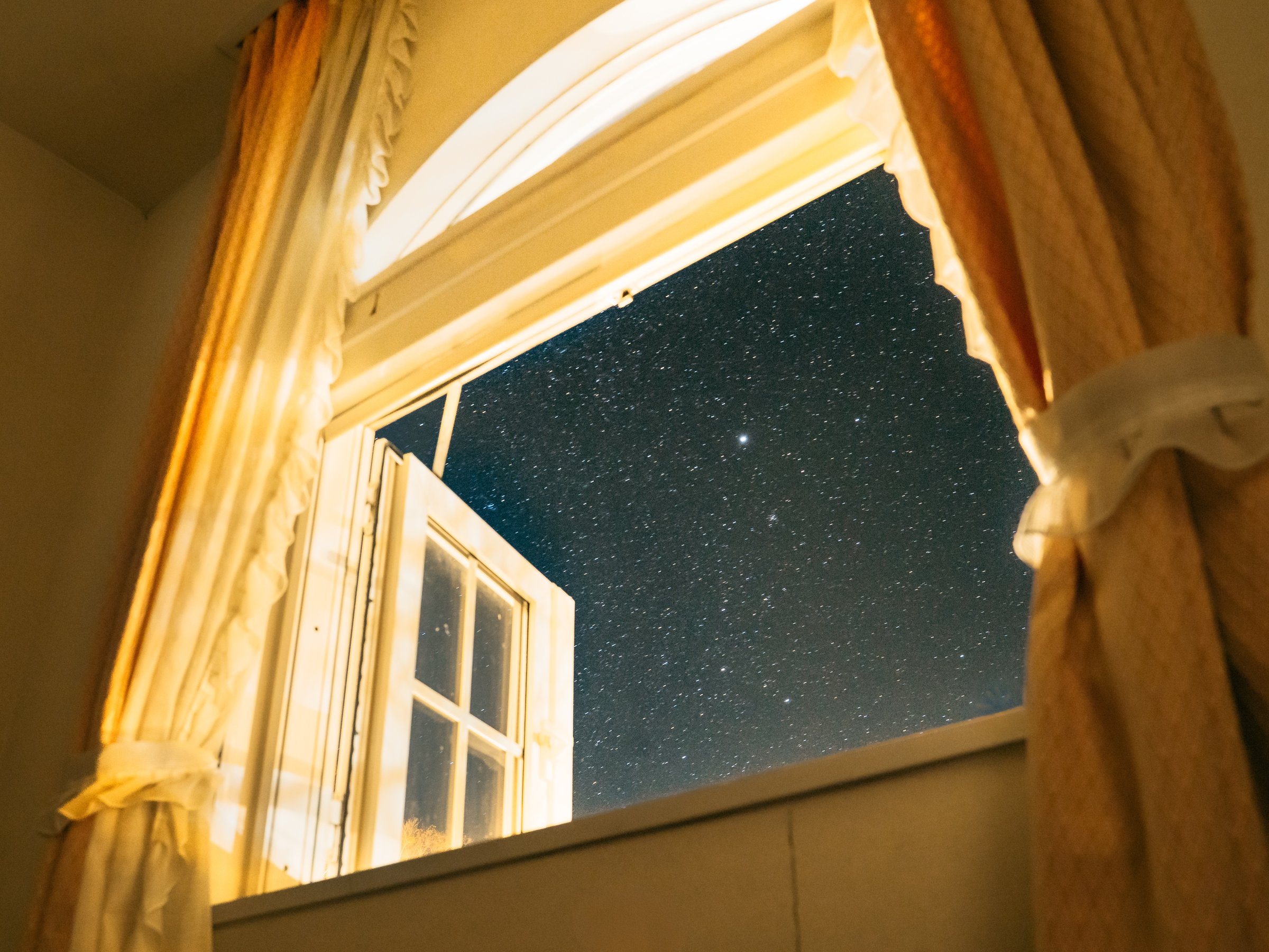 �������̑���������������邩���I�H