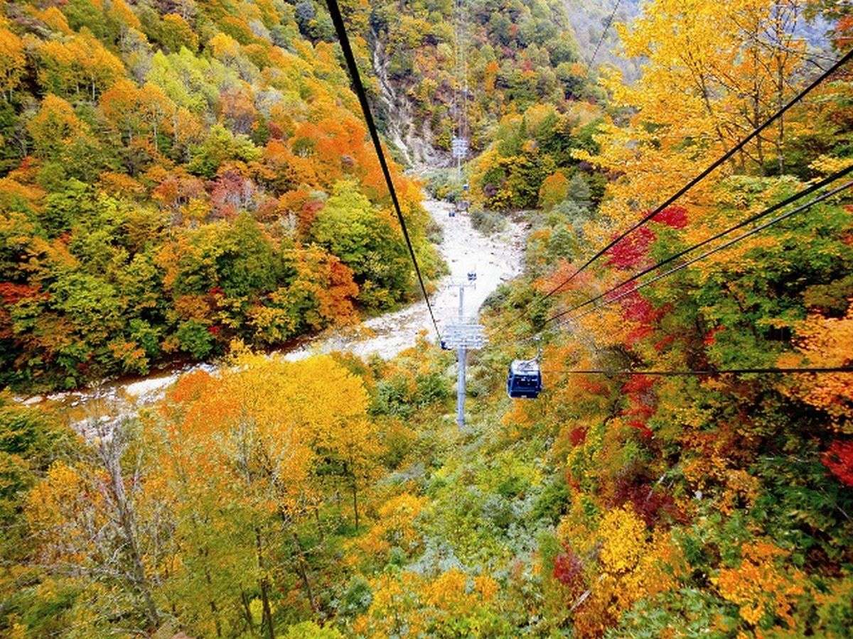 yhShzEŒ5481̋󒆎UB360xgt̃pm}łBgt10{`{B