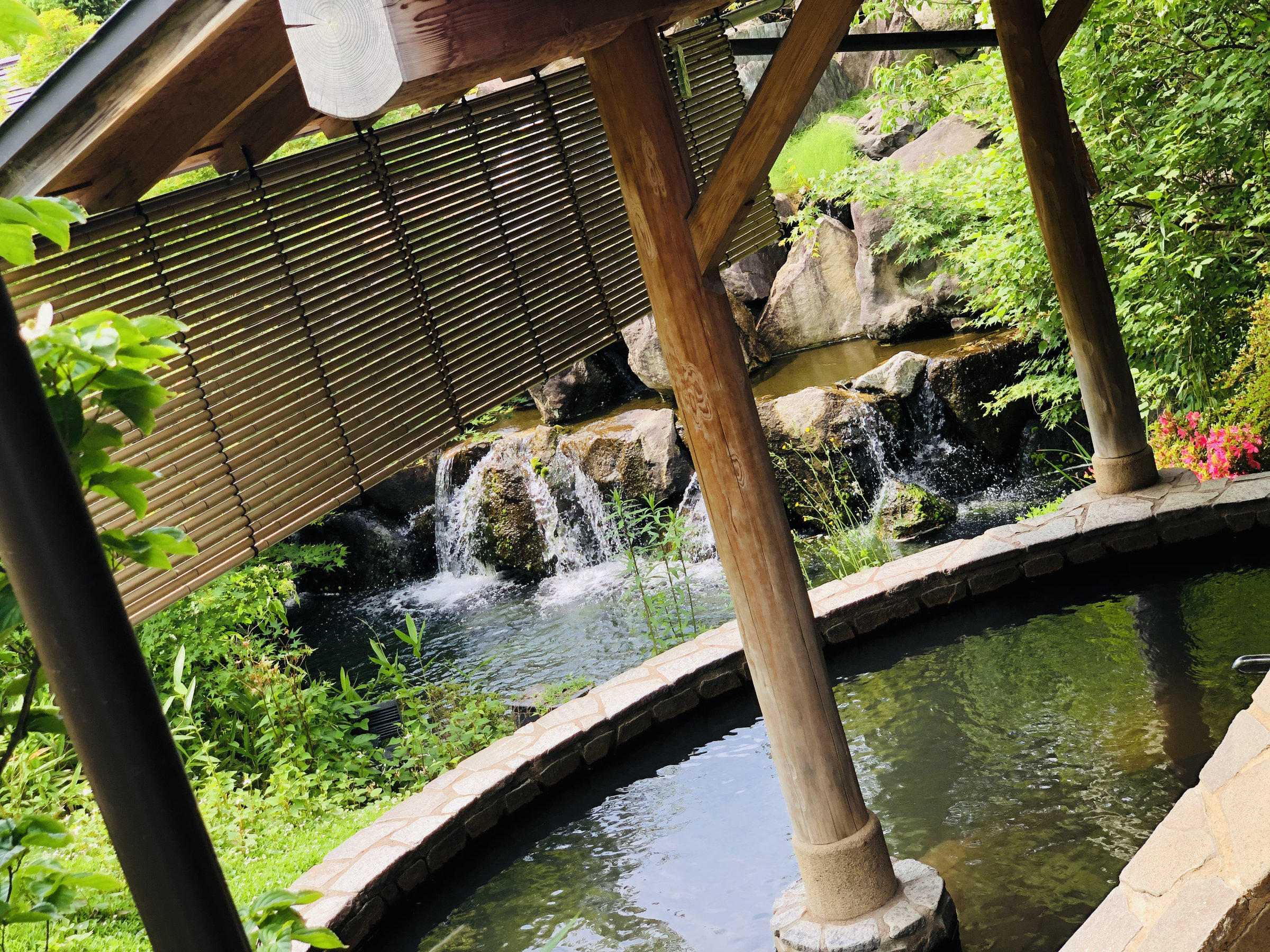 �V�΂̒뉀�I�V���C