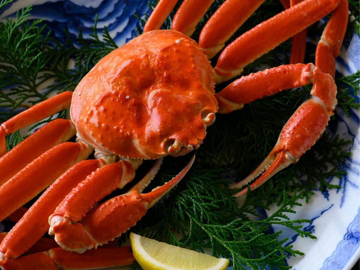 �y���킢�I�z����̓~�̉��l�I�|�݂ƊÂ݂�������Ƌl�܂����J�j�𐥔񂲏ܖ����������I