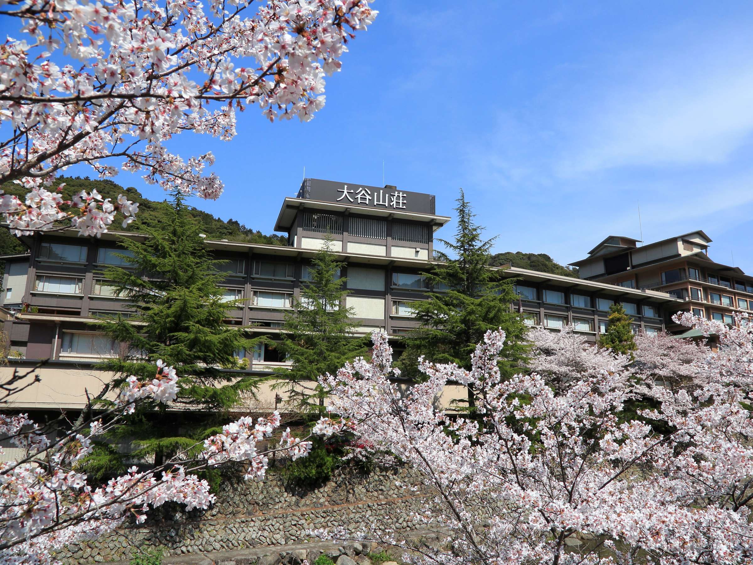 �t�̊O�ρF�V�����̂��U����������߂��Ă���܂��B