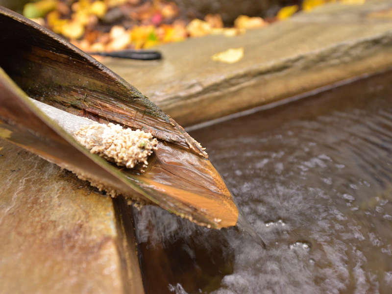 *�I�V���C�i�����j/���񂱂�ƗN���o�鉷��͌���|������100���̓V�R����B�����̂ЂƎ������񑩁B