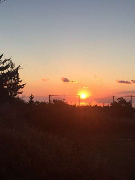 11�����{����2������܂ł�������e���X����C���珸���̏o���ς�܂�