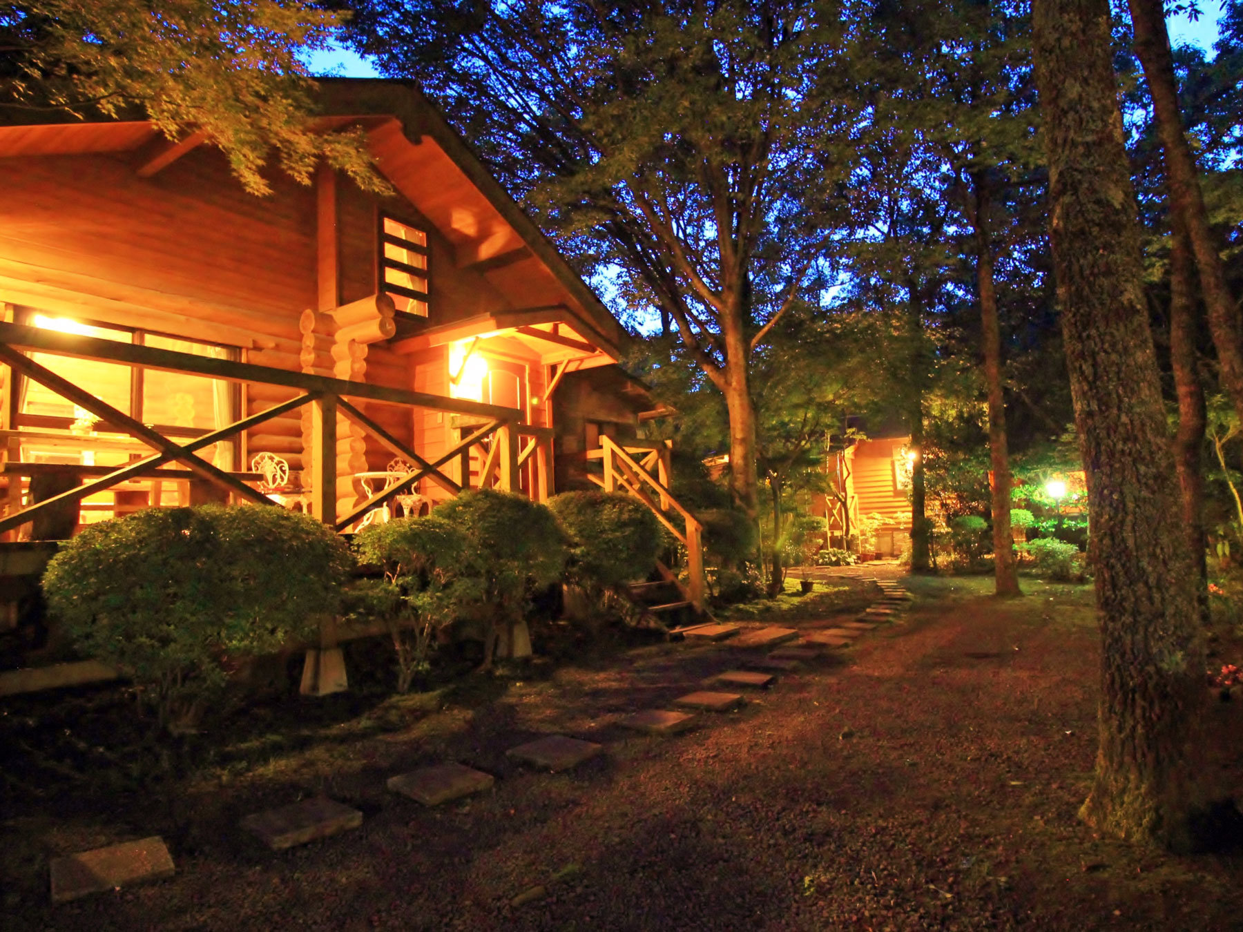 Re[WȂł̗͂ǂICyɃAEghACy߂܂