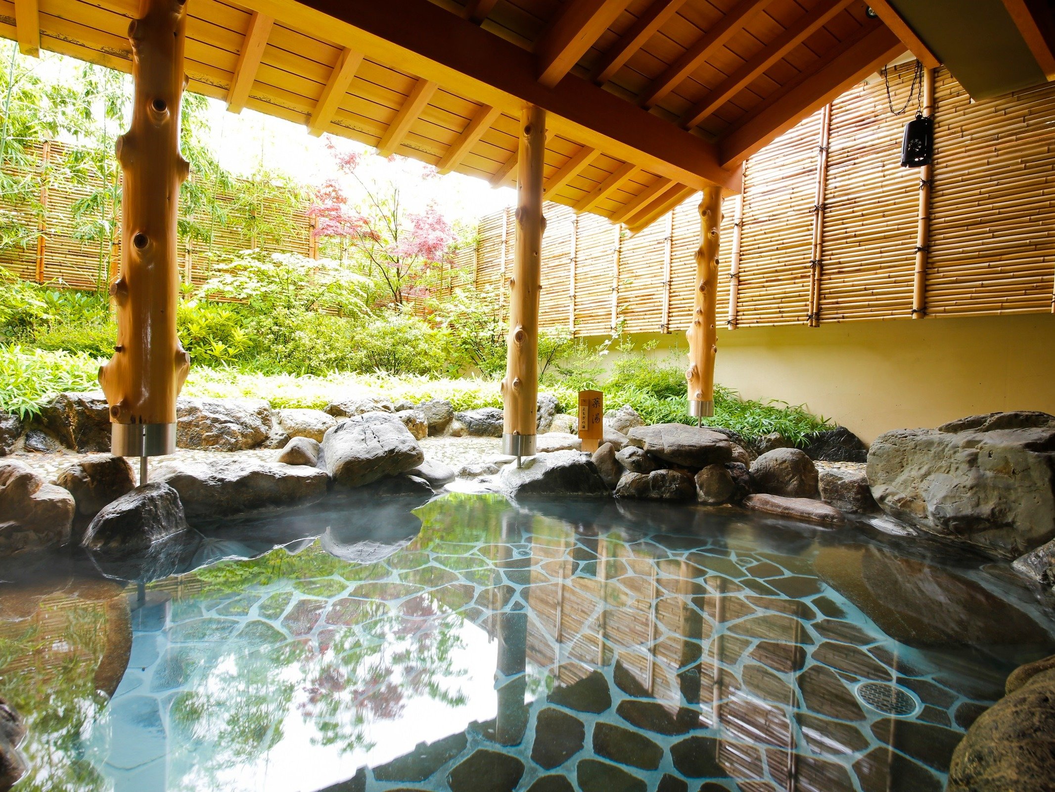 �y�嗁��E�I�V���C�z���R�̒n�œ����݂����y���݂��������I