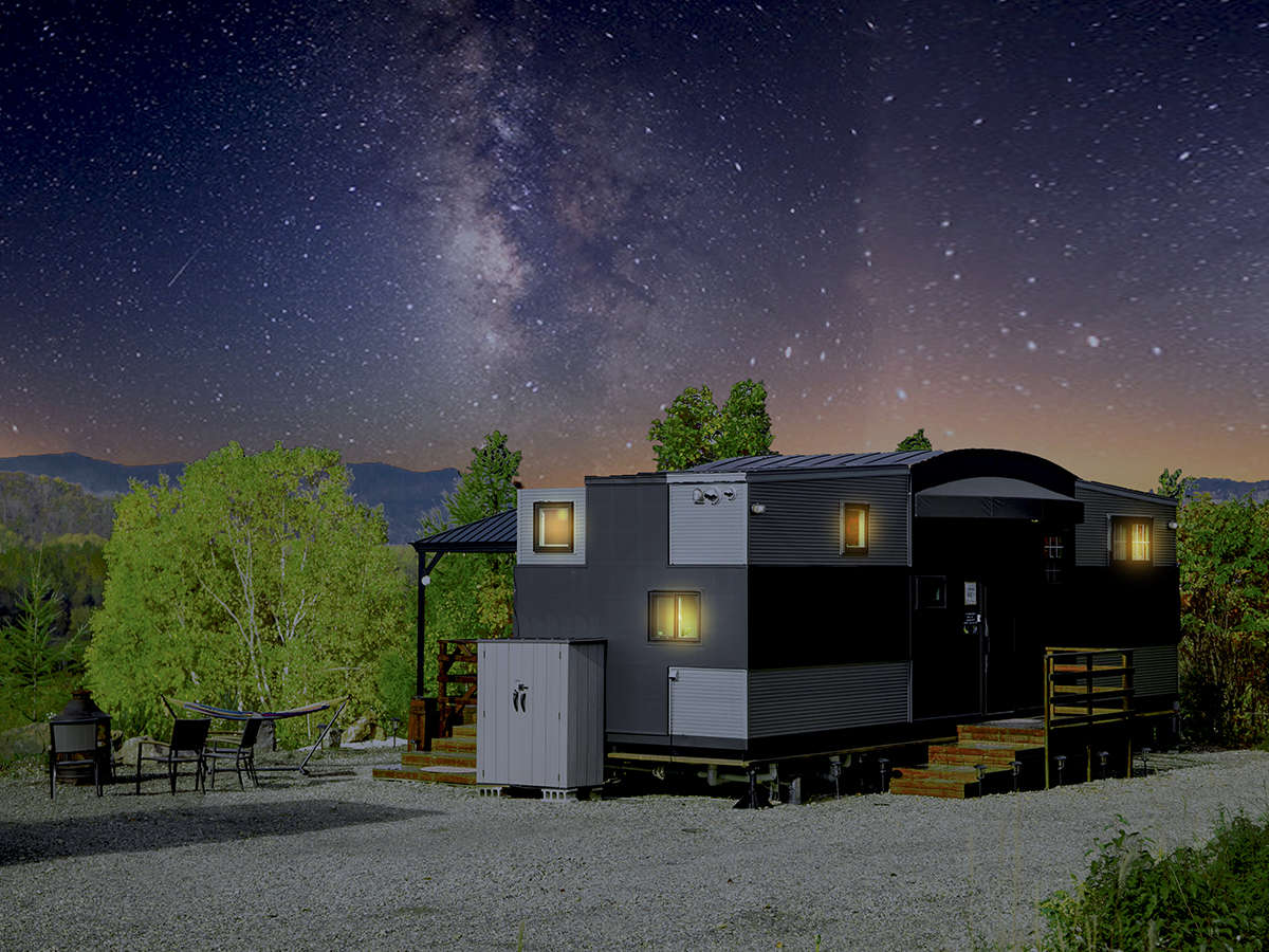 �y�m�X�^���W�A�z�������䂩�猩�n�����]�����_���R�̐V�΁A�g�t�A�ቻ�ς�A����̖�i����]�ł��܂���