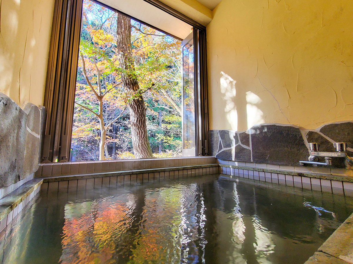 #���C�@�����ނ�̌������Ɍ�����тɐ��܂�R�X�A�����̍g�t�𒭂߂�����ȁB