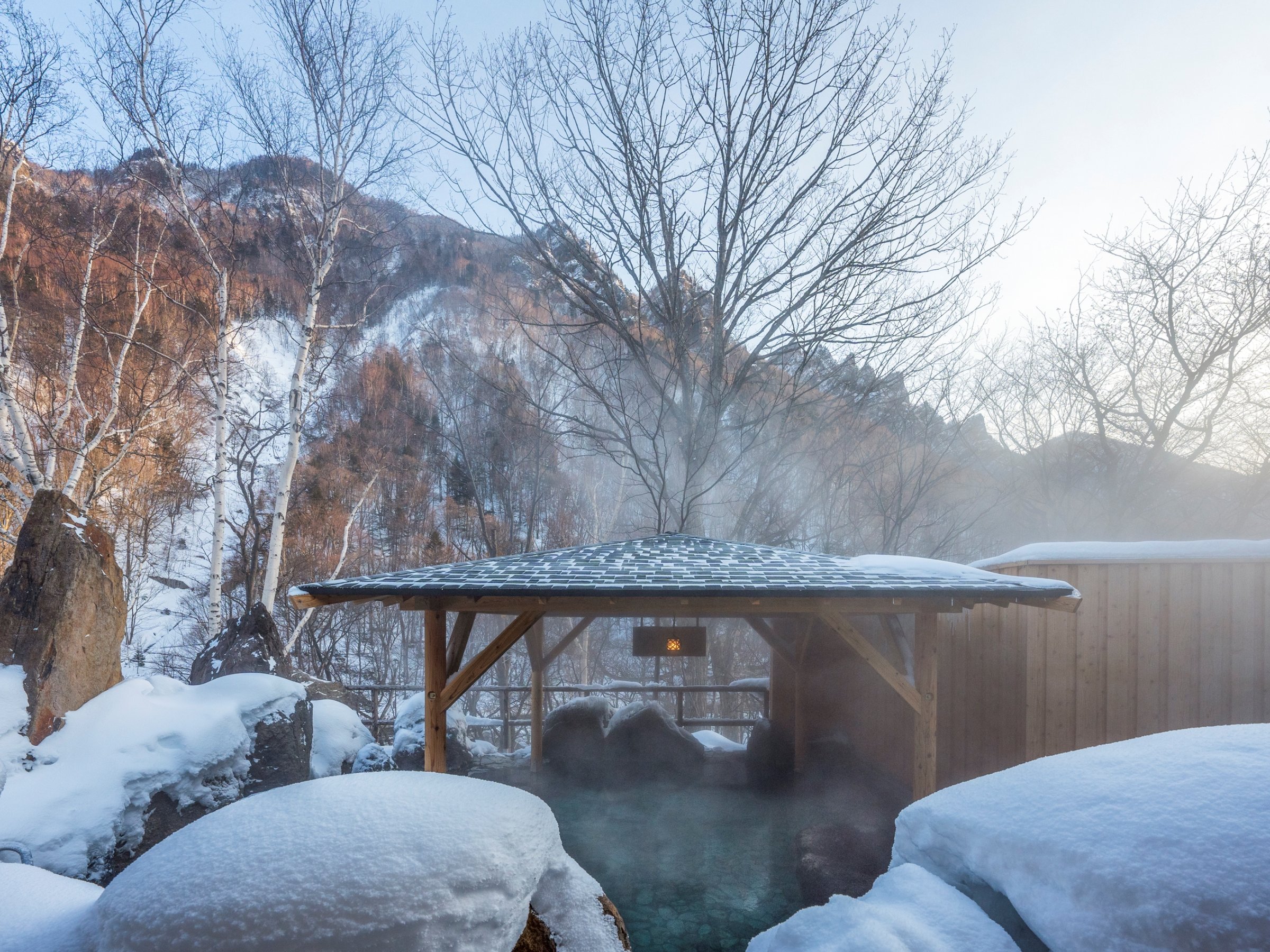 yJIVCz̘IVC̖͂͌iς̗ǂBw_̃_Ci~bNȋJɊ\ł܂B