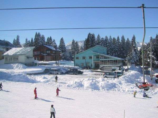 qt@~[R[XkO̍DnIڂ̑ÕQfXL[EXm{