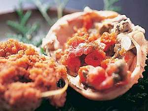 �������Ă���i�̖��I�����L���ȁh�Z�R���Ɂh