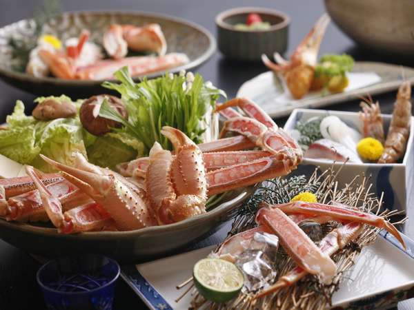 �{�����[�������Ղ�t���R�[�X�v�����I