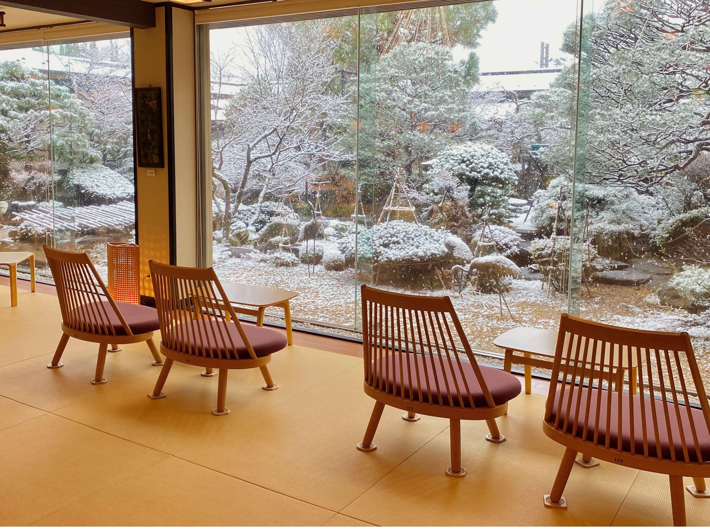 ��������ቻ�ς̒�������r�[����