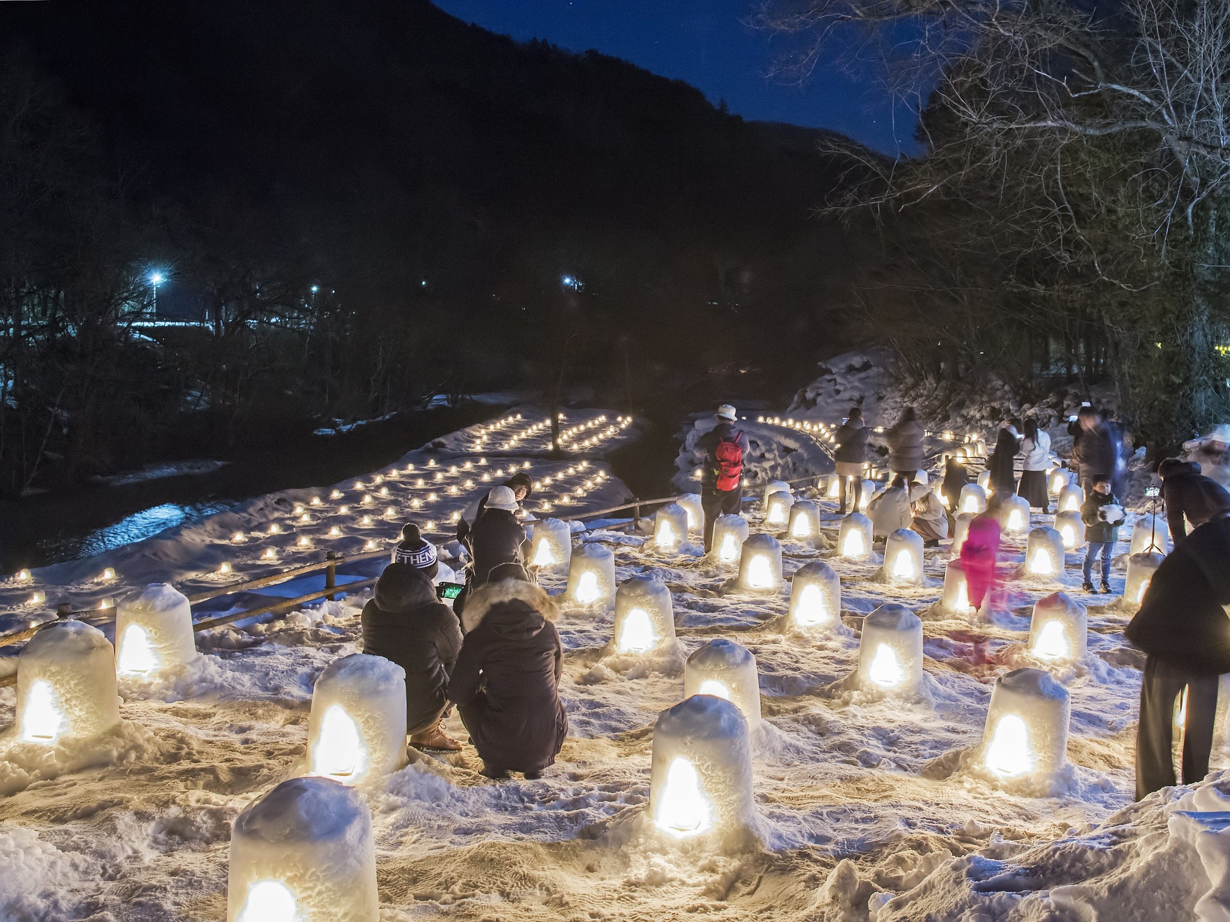 ���{��i��Y�E�֓��O��铔�E�Ȗ؎����w�����쉷�򂩂܂���Ղ�x���z�I�Ȍ��i�����y���݉�����