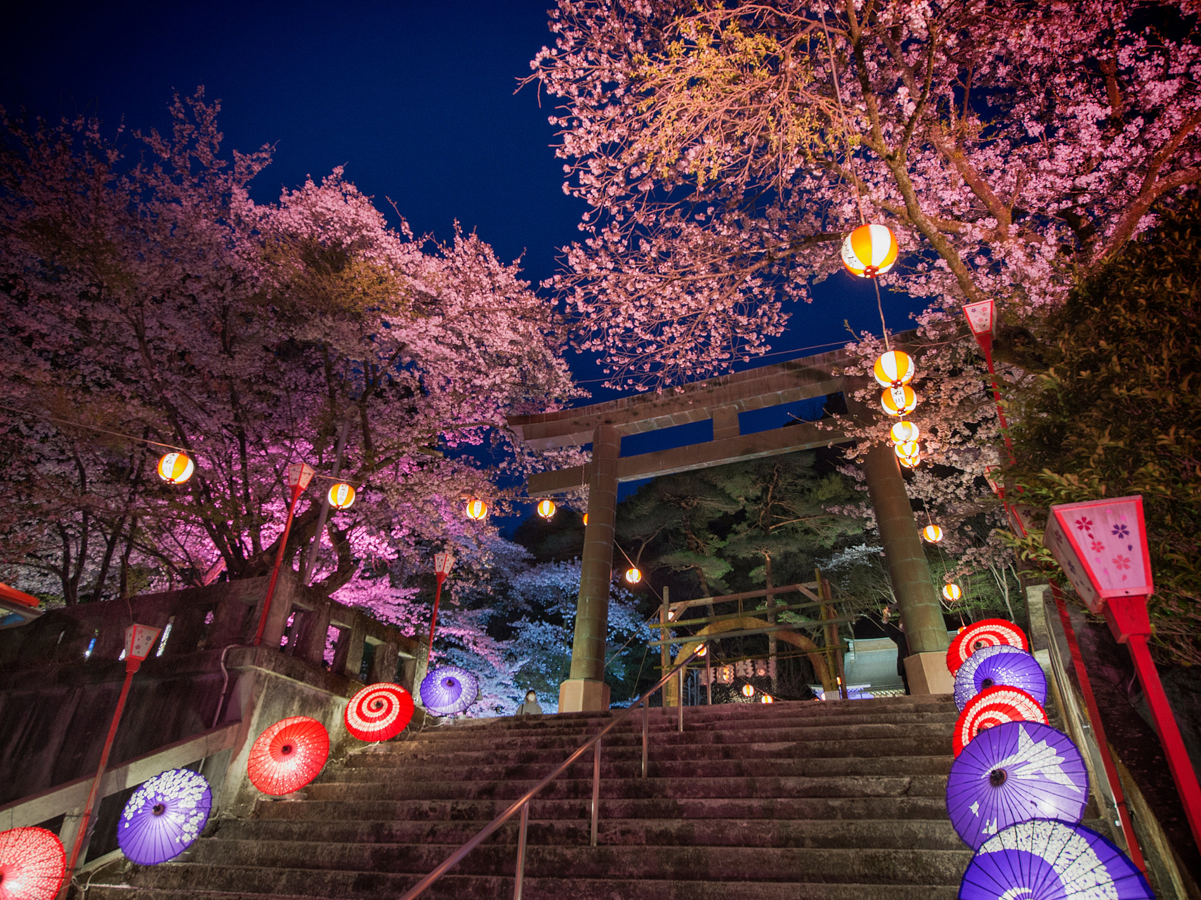 �S�{�쉷�������C�g�A�b�v�`�S�{�얜�؋��`