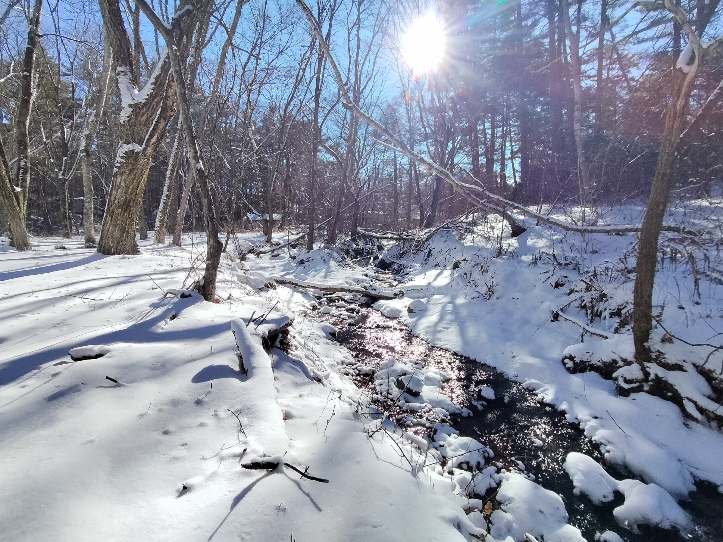 2000�؂��闠��G���A�ɗ���鏬��͎��S�n�悭�A�S����₵�Ă���܂��I