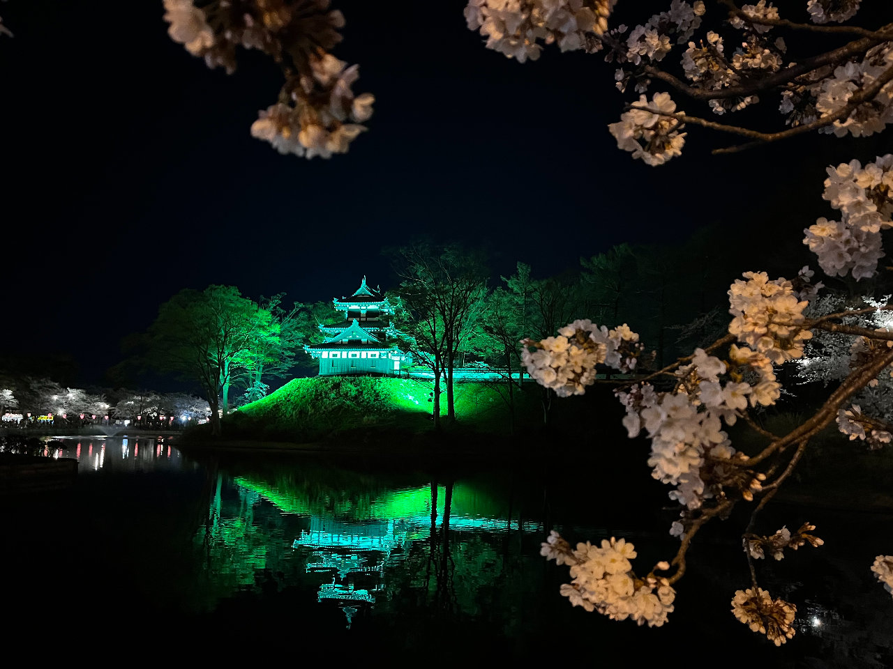 ���c�隬�����i�ԁF��7���j�V�C�������Ƃ��@��ɍ��c�邪��������ʂ��Ă��ꂪ�܂��ƂĂ��Y��ł��B