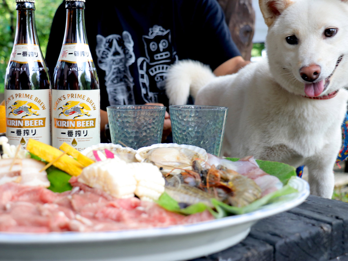 ��؂ȉƑ������痷�s���ꏏ�Ɂ􉮊OBBQ�ł��H���������ꏏ��