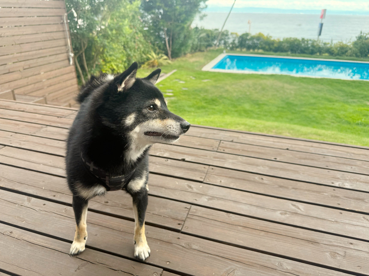 2025N111hAƂh悤ɂȂ܂I