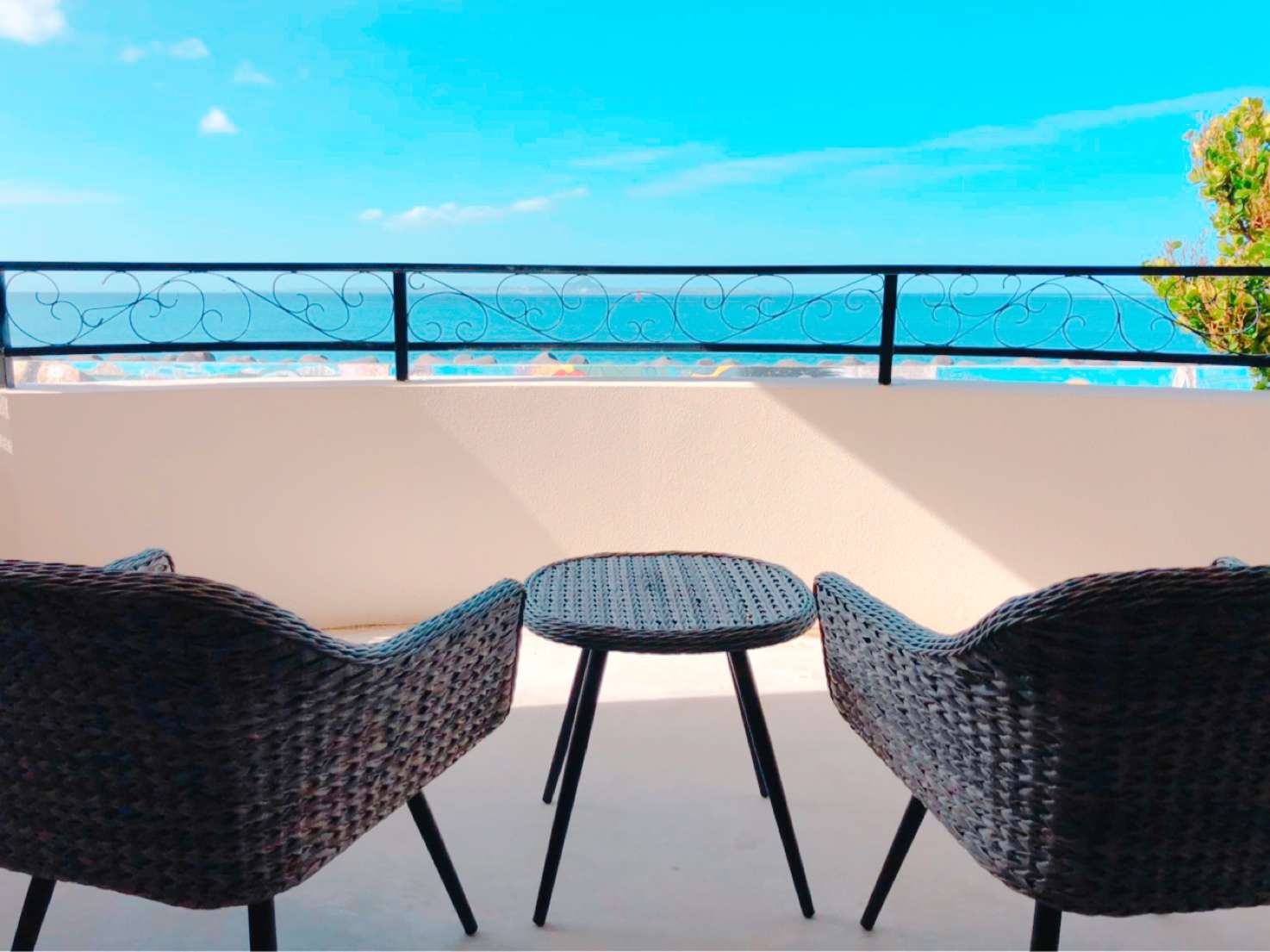 �o���R�j�[