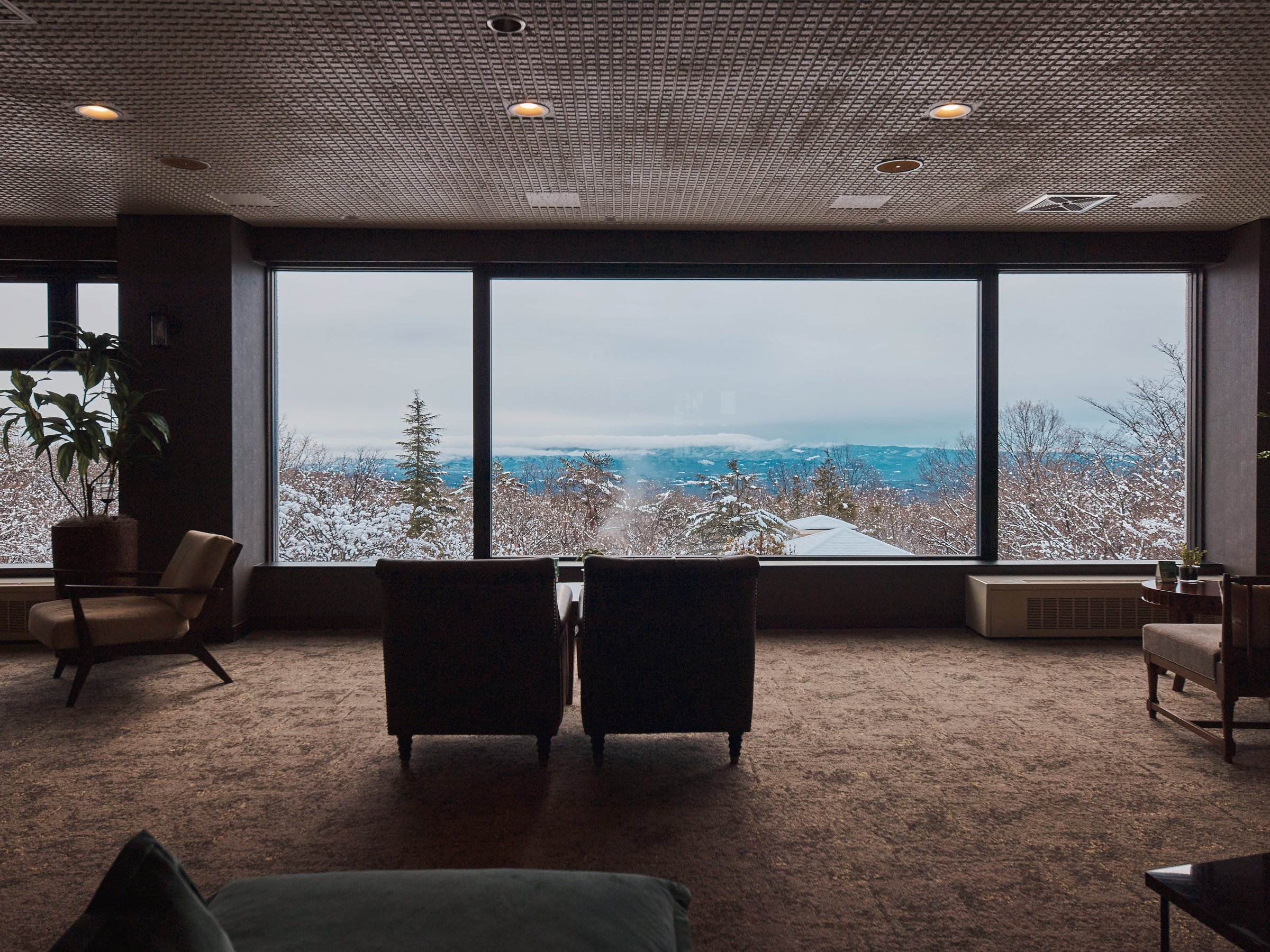 �y���E���W�E�~�z�~�ɂ͖ډ��ɔ�������i�F���L����܂�