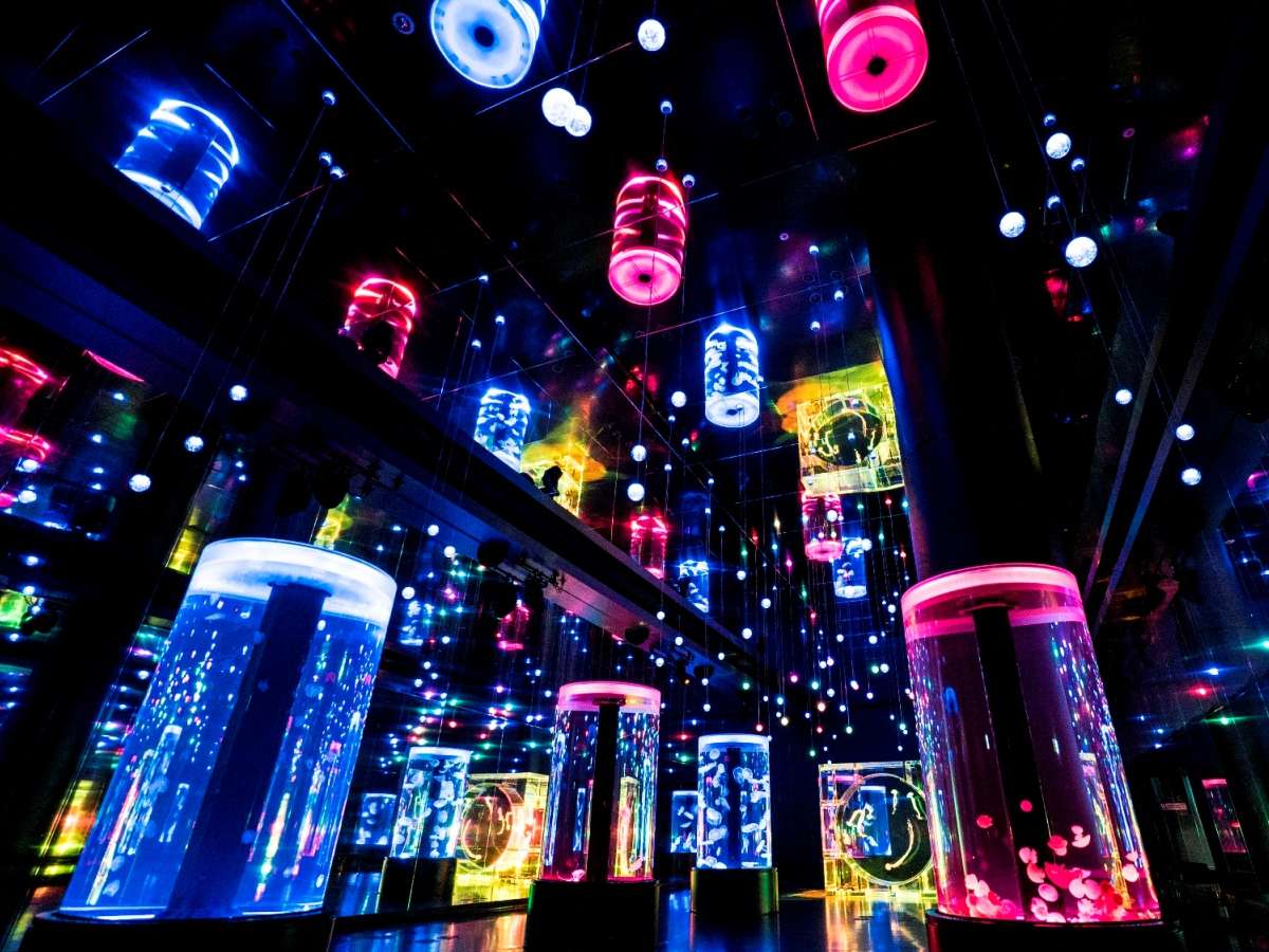 �����Ɩa�����y�A�g�̂悤�ɗh�炮���ɖ������āA�N���Q�����Ɩ����̎��Ԃ���