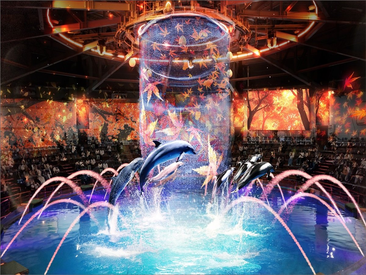 NAKED MOMIJI AQUARIUM (2025/9/6`2025/11/9) gɐ܂AC̐EōgtB