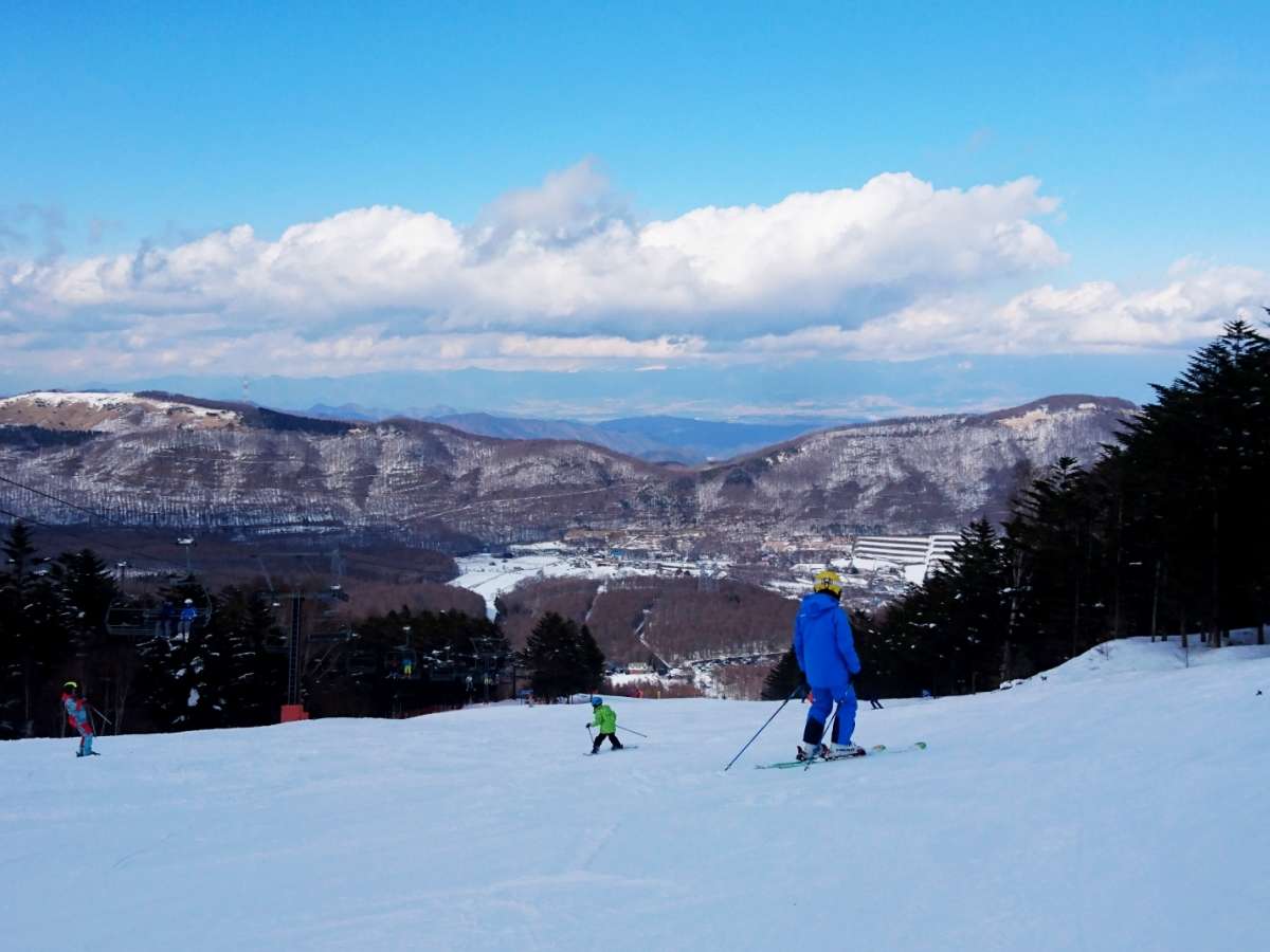 �u�����V��������܃X�L�[���