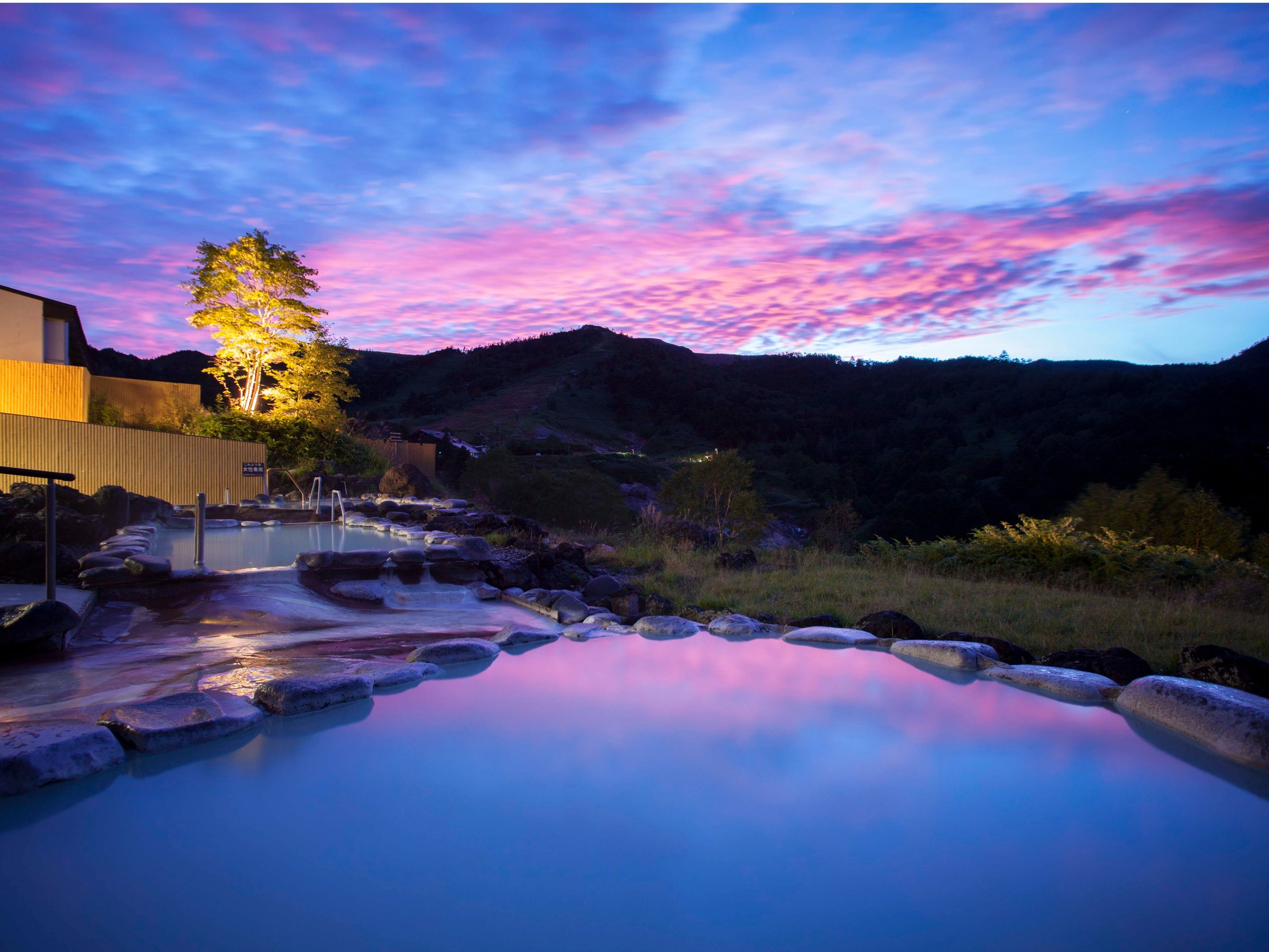 �y���܂����̓��z���z�I�Ȍi�ςɕ�܂�钩�Ă��̘I�V���C