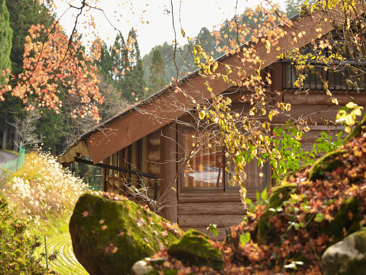 �H�̃��O�n�E�X�i�O�ρj