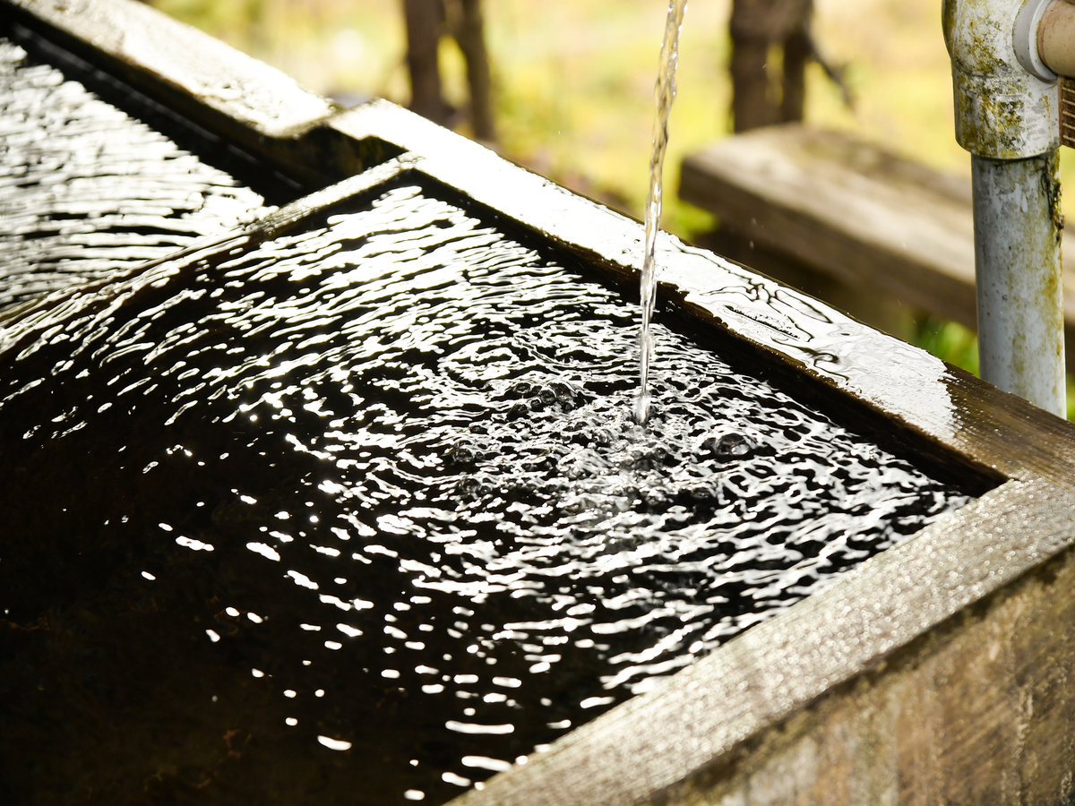 �R���Y��Ȑ�