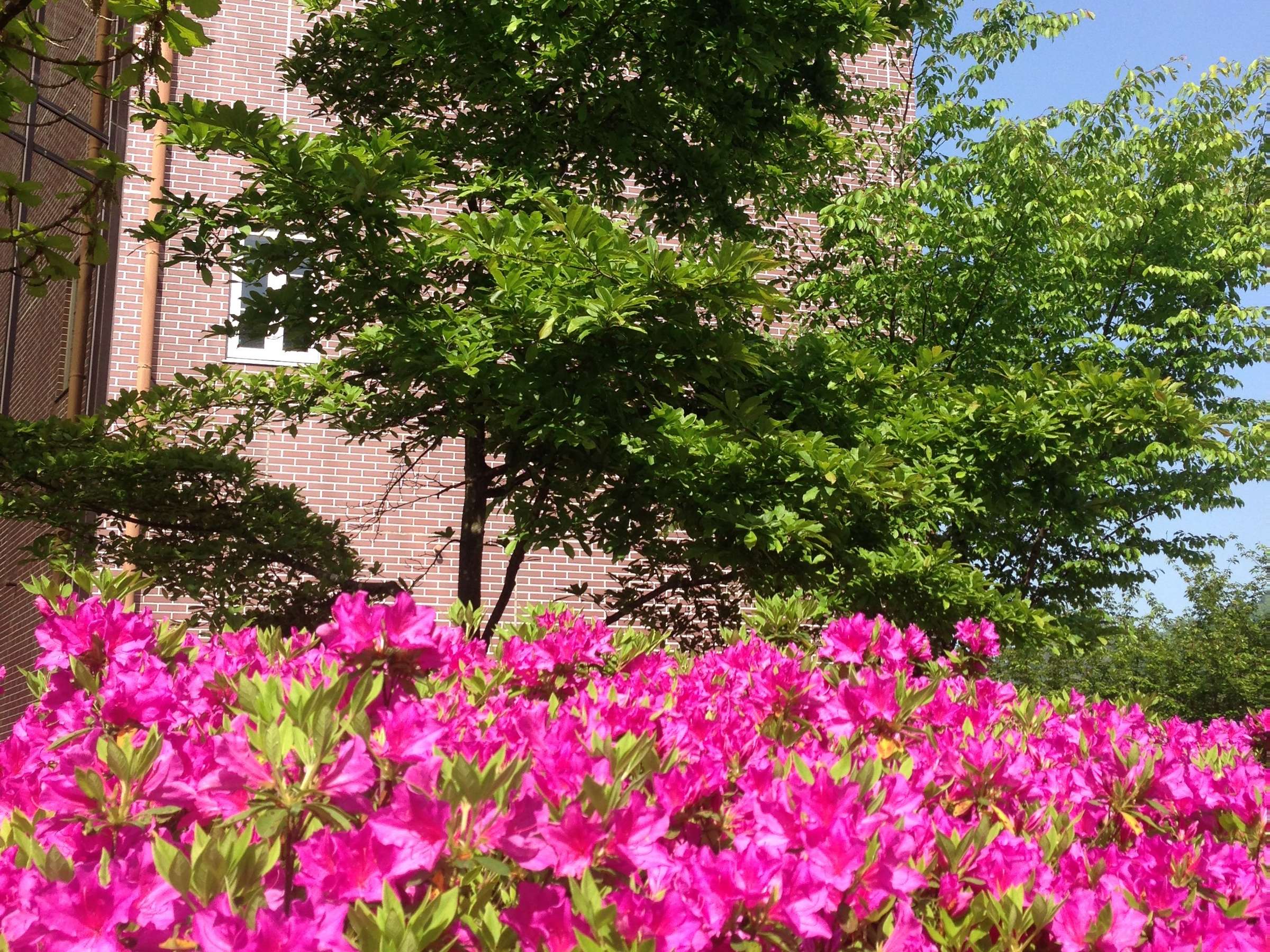 �S��������T���ɂ����Ă��������ł���