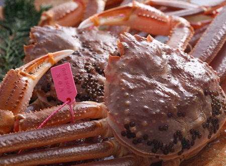 ~̖ỏҁutɁvsN^ÓyĎRɁz̏؁@