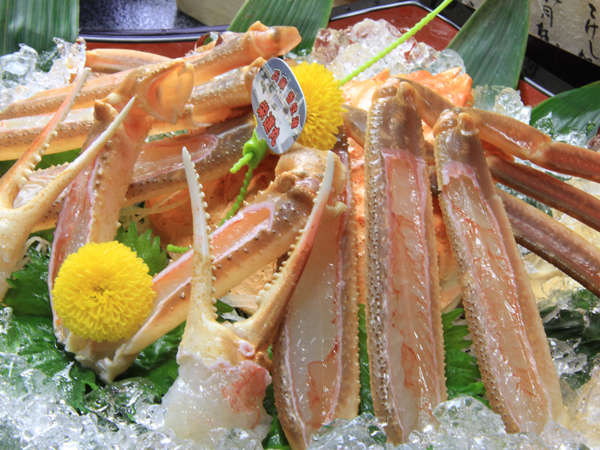 ���t�I�@�h�g