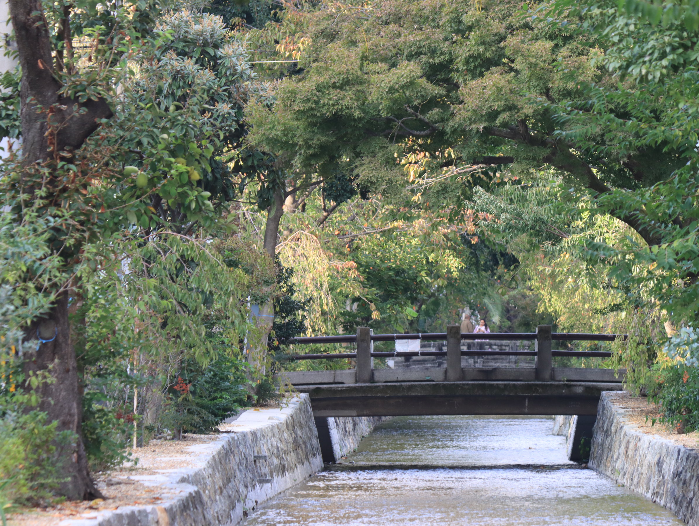 �����쉈���ɂ́A�J�t�F��r�A�X�^���h�̑��A�̉��������K�����B���U���ɂ҂�����ł��B