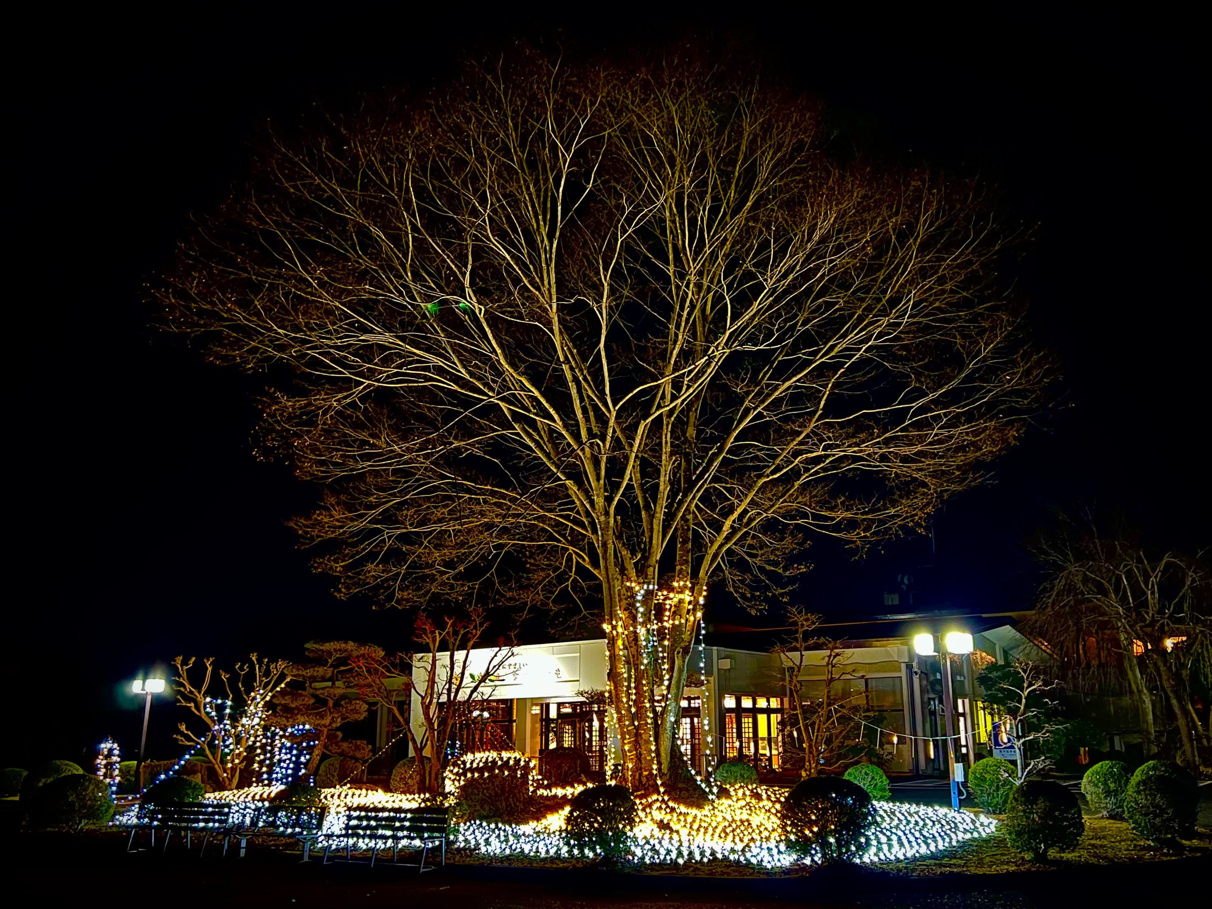 ��̊O�ρu�~�̃C���~�l�[�V�����v