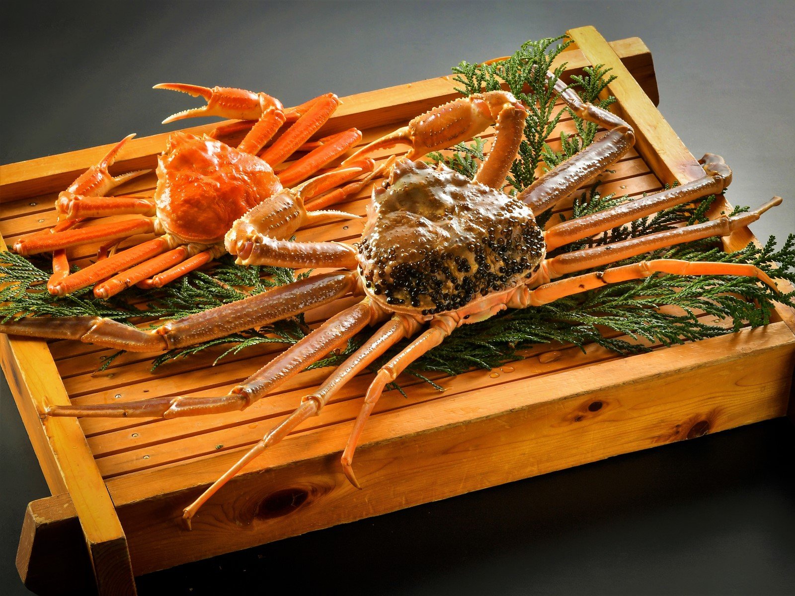 ���쑽���̊��I���Ⓚ�K�j�Ɗ��I�̑傫���Ό��I���I��800���ȏ�ŗⓀ�K�j�͖�400���ł��B