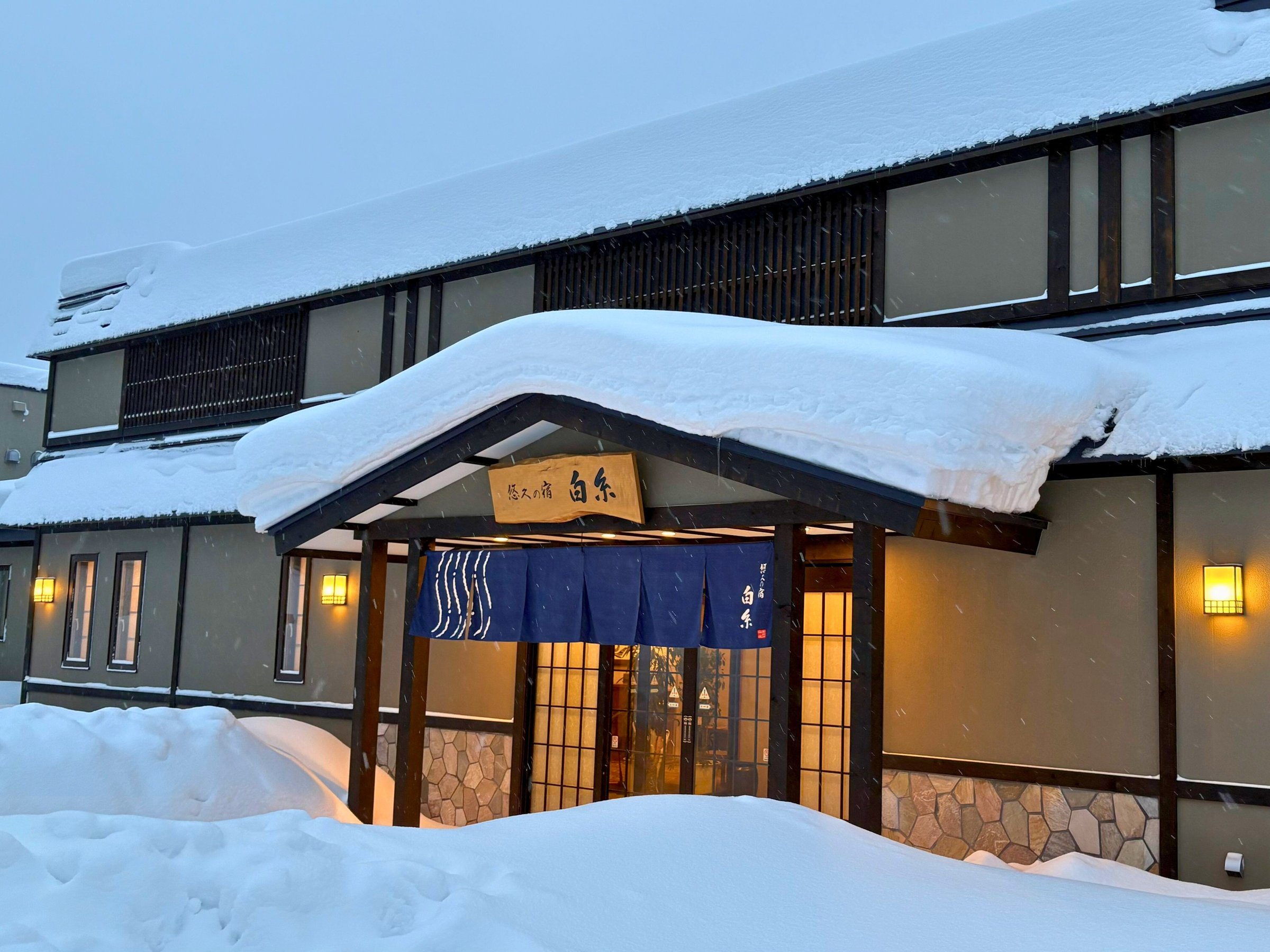 ����R�k���� �I�v�̏h �����ւ悤�����B