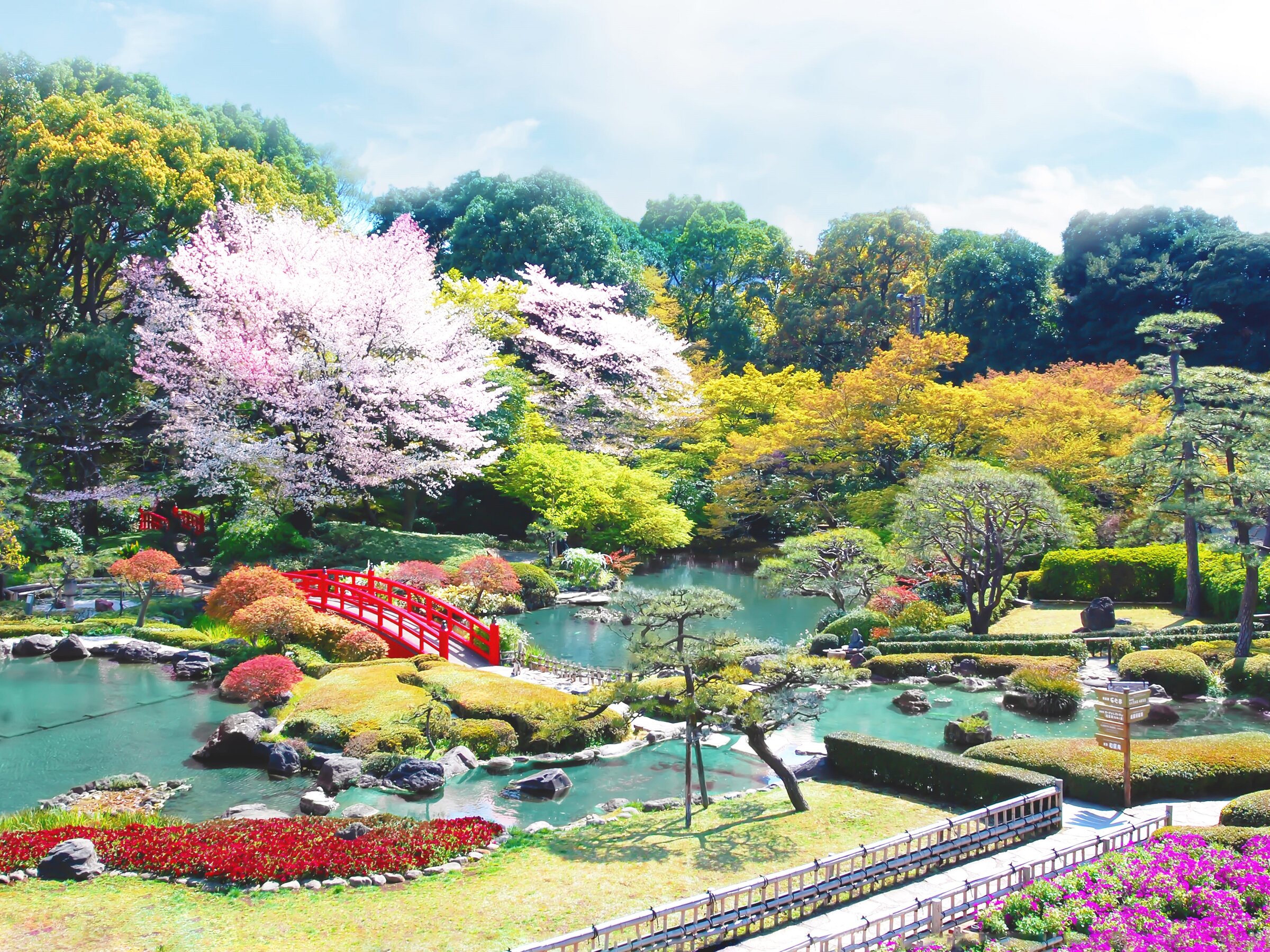 �y���{�뉀�z�t