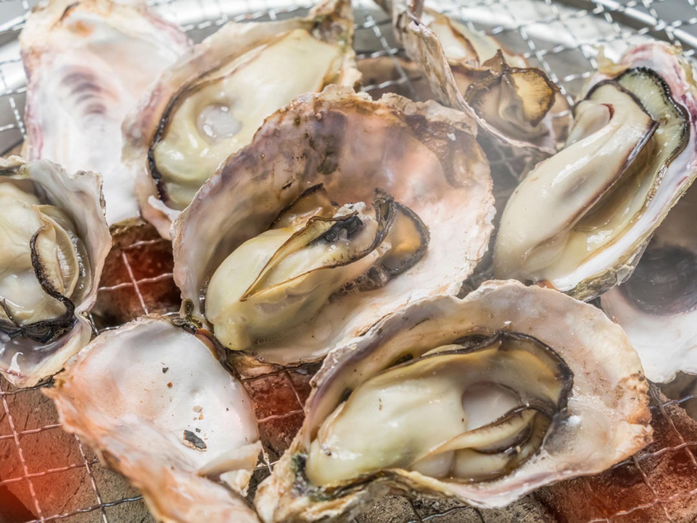 �~�̖��o�w���y�x���Ƃ��Ƃ񂨊y���ݒ�����y���y�����R�[�X�z�ł��B