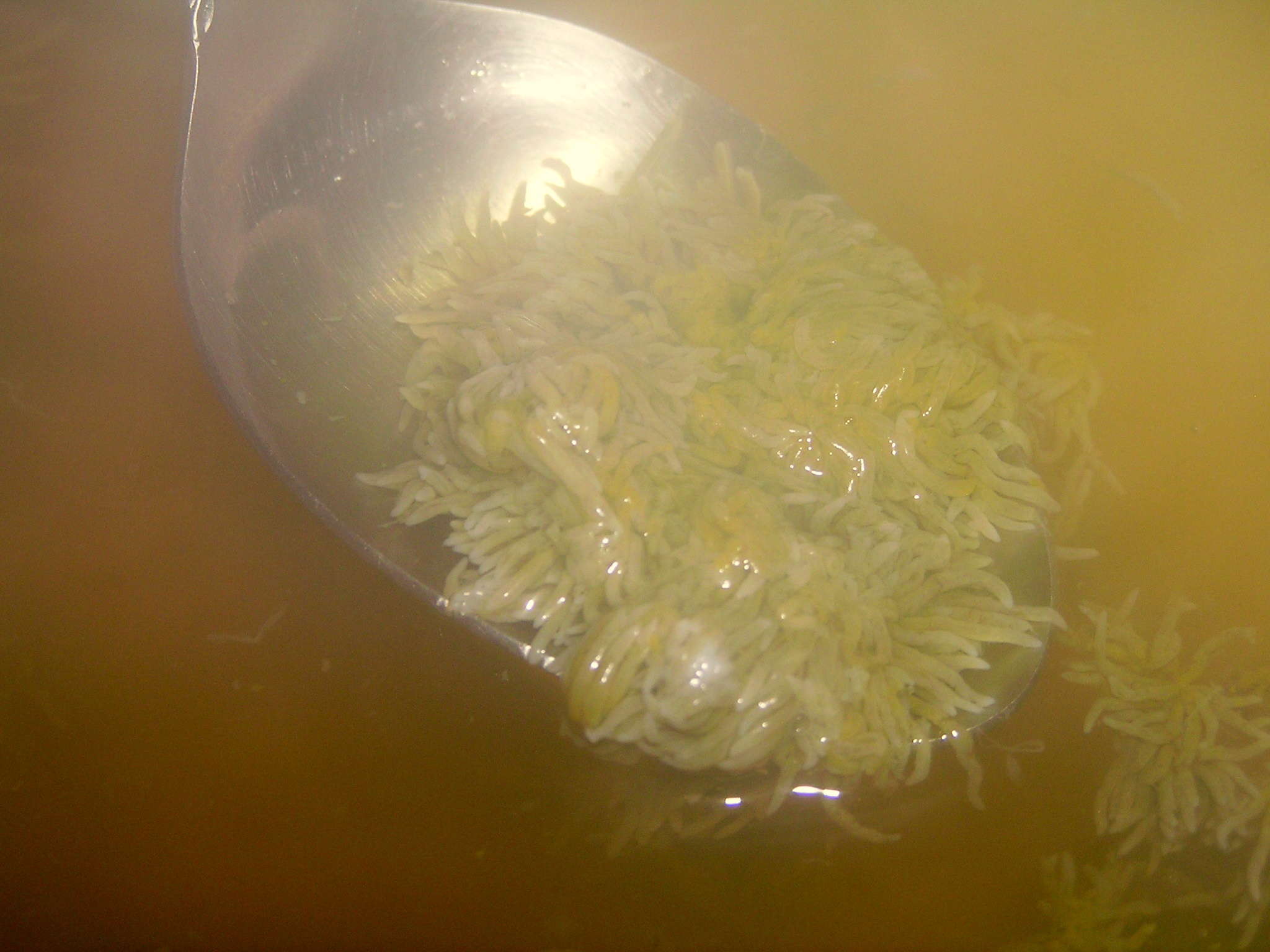 �����I�̏؊I�݂�����Ԃ���Ԑ�i�ł��I�I