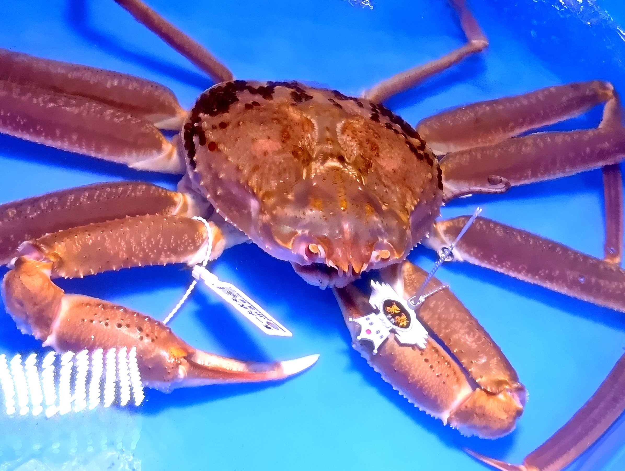 ߘaVNuhIEl`E1tyPWO~zŋW