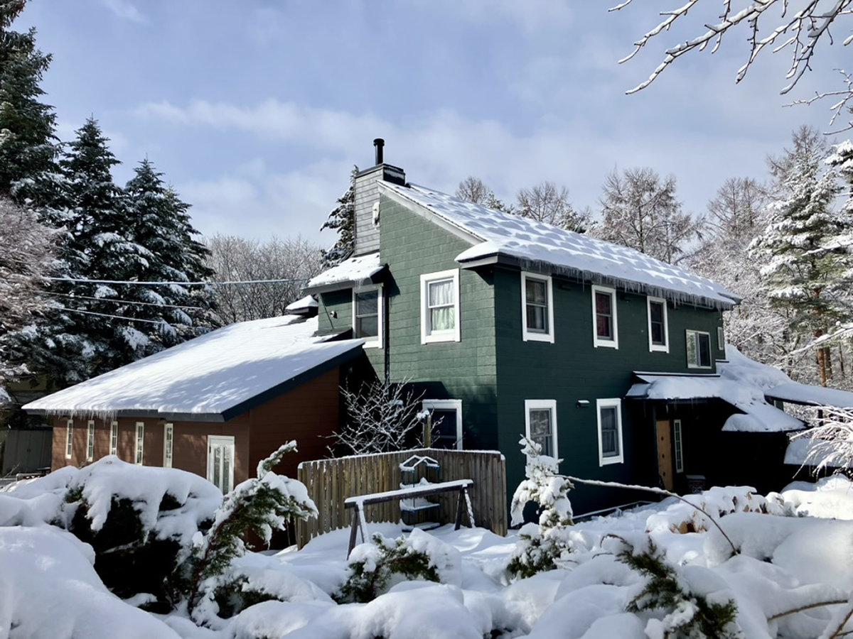 winter season�̊O��