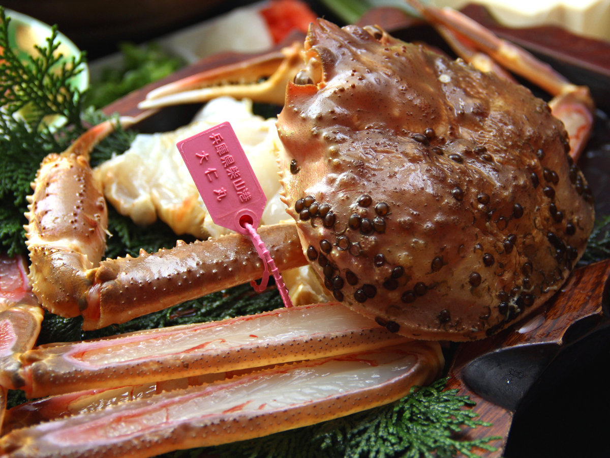 ���R�J�j�I�I�s���N�^�O�͖{���̏؁I�I�I