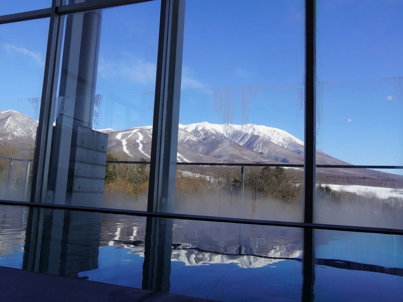 ���򓏓V�̓����~���ቻ�ς��ꂽ�X�̖؁X�𒭂߂Ȃ�̓����́A���̋G�߂������킦�܂���I