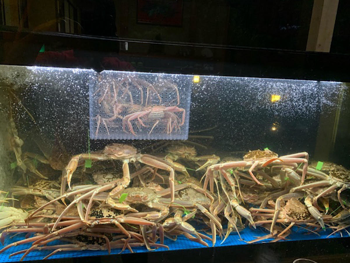 ���ւ̊��������ł��B�~�ȊO�͋������܂���B